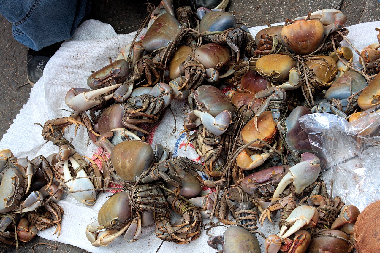 Live crabs offered for sale at a market