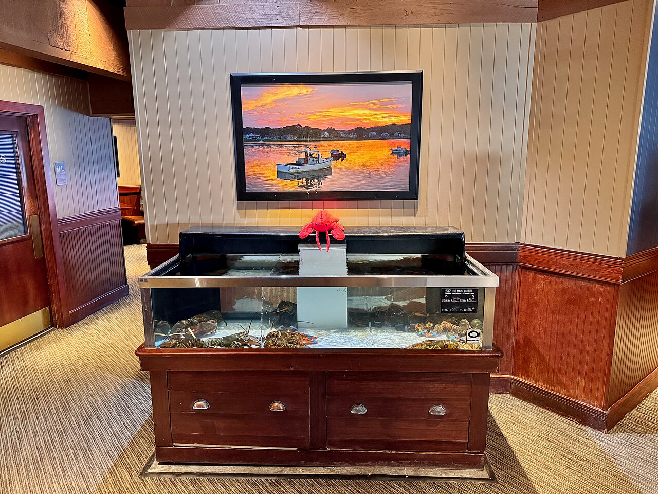Live lobsters held in a restaurant tank